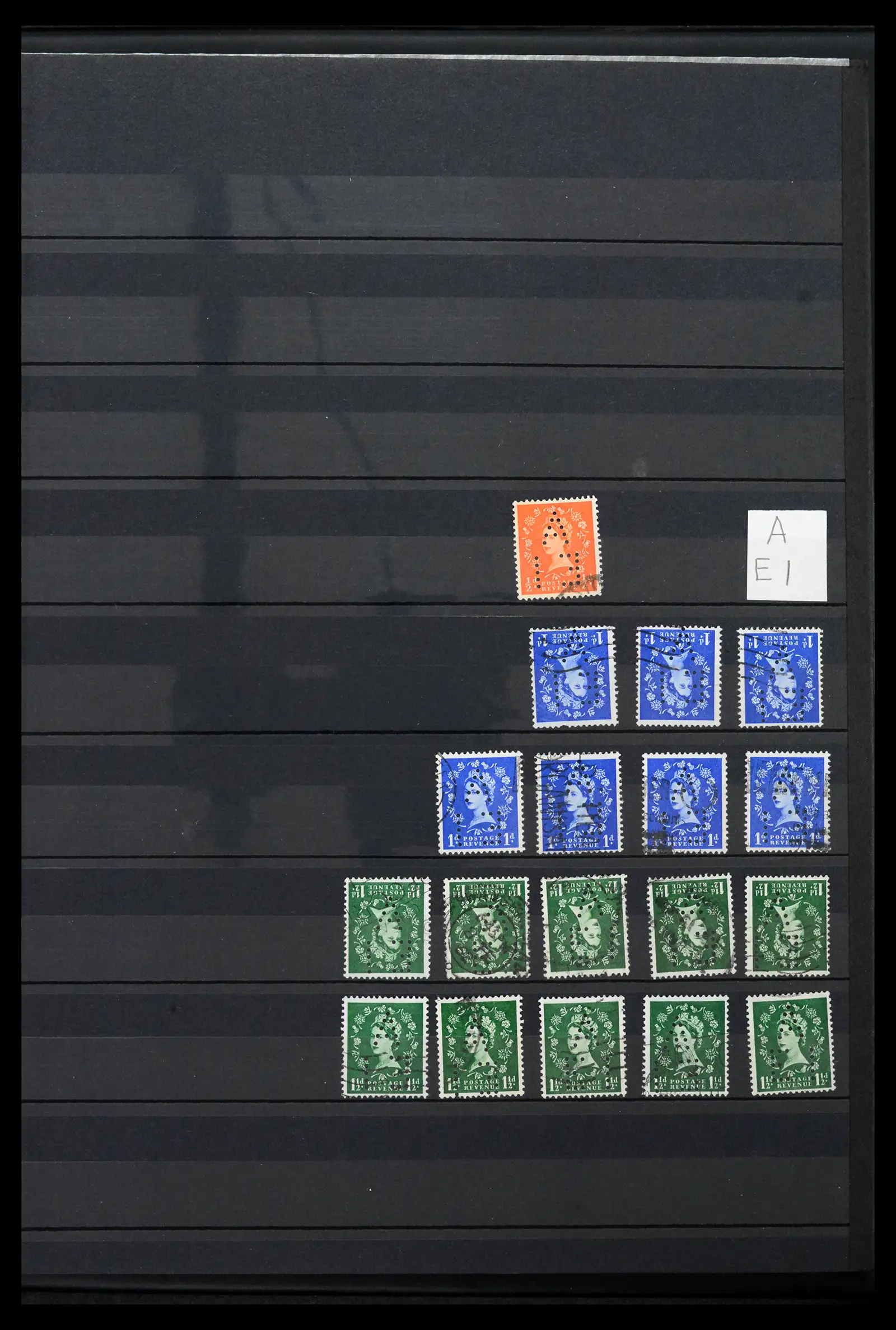 41999 0005