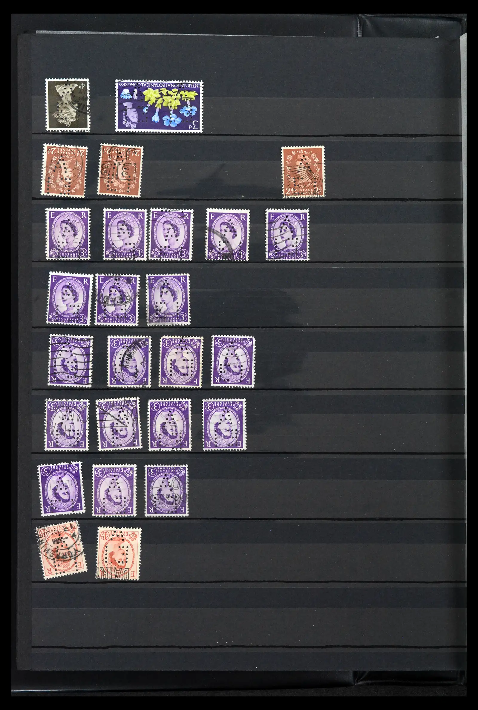 41999 0008