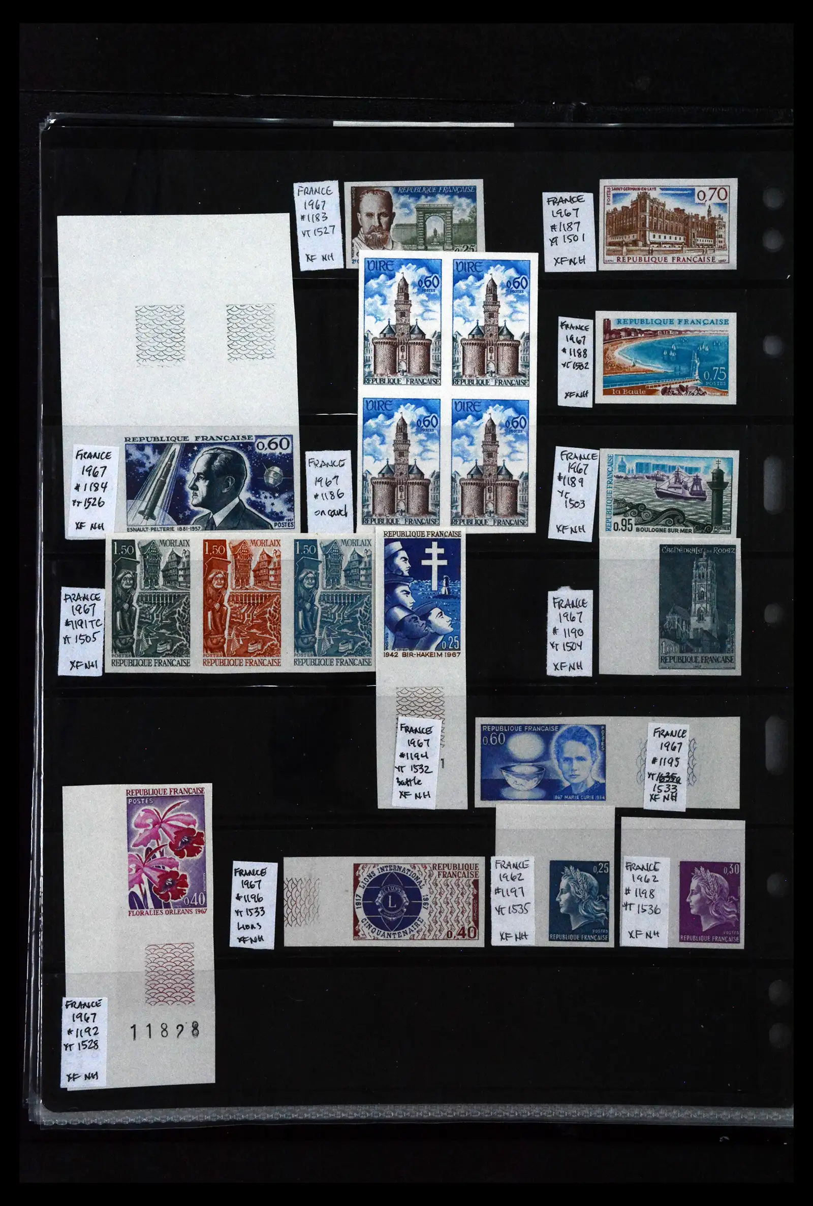 42050 0036