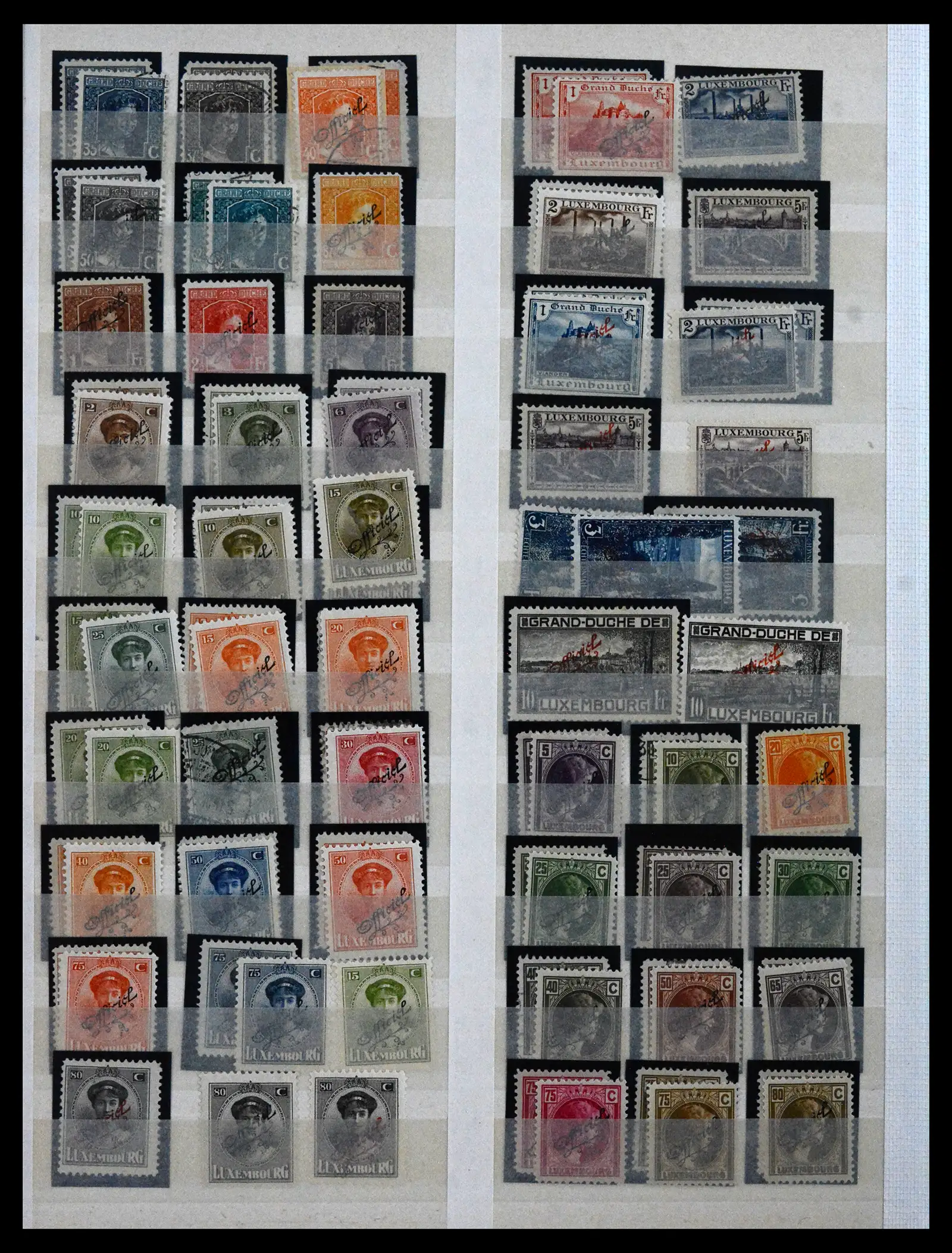 42055 0012