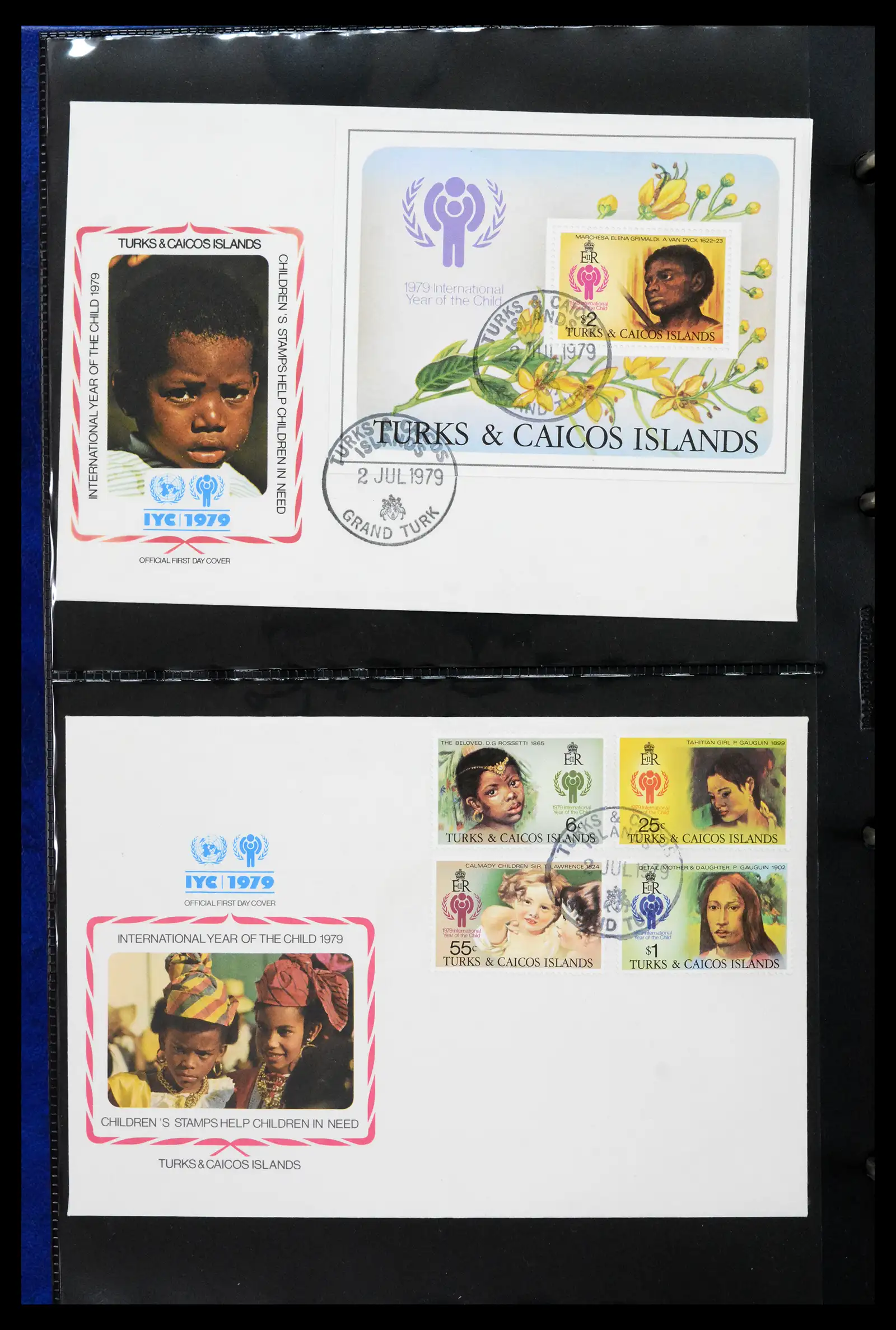 42063 0020 - Stamp collection 42063 Thematics Year of the Child 1979