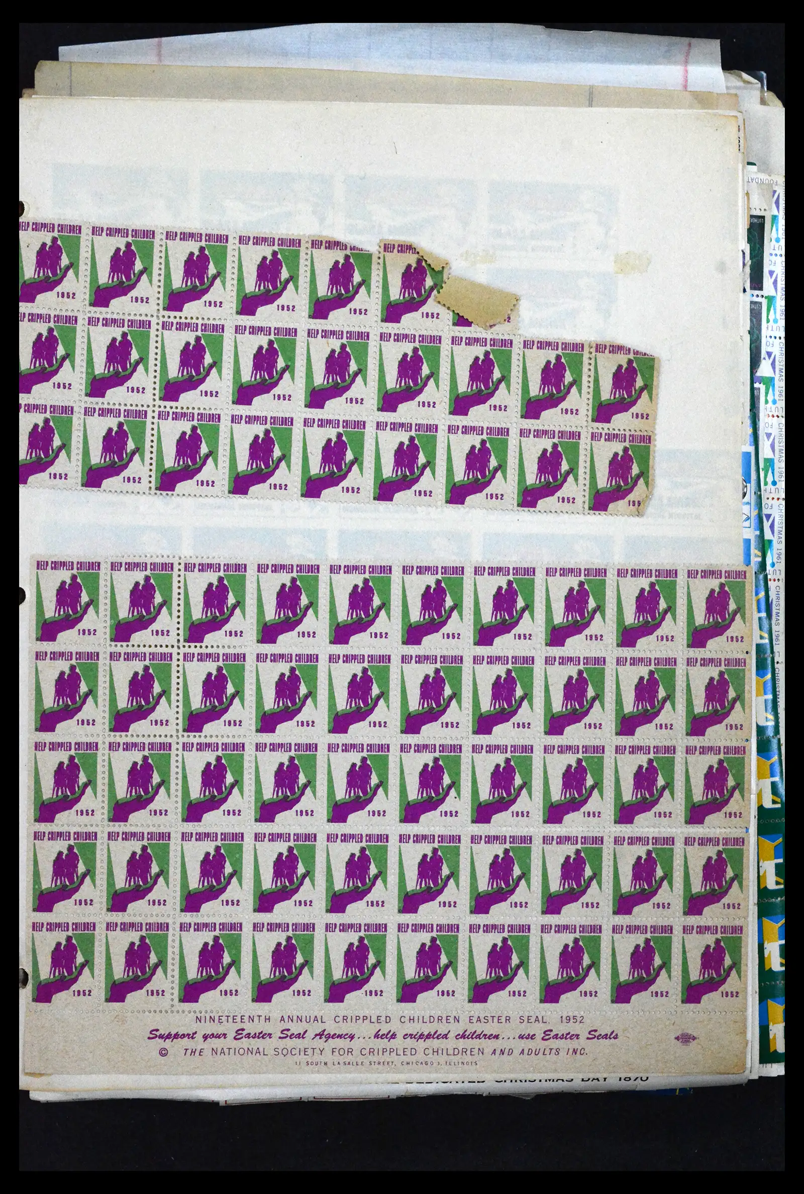 42078 0091