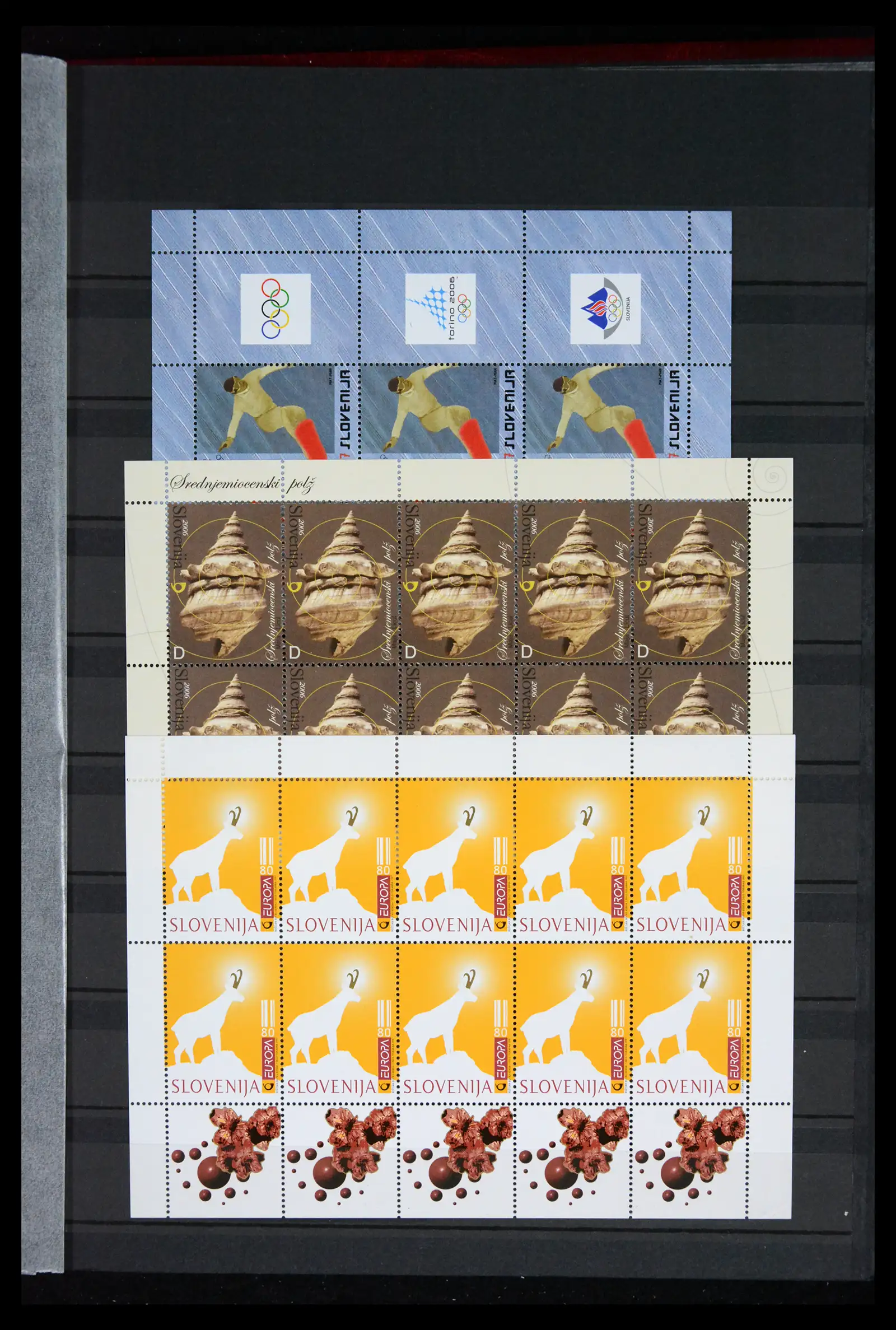 42104 0065