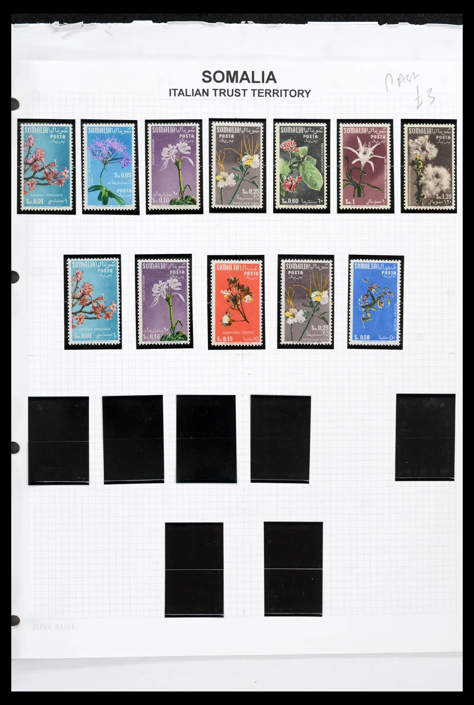 42163 0064