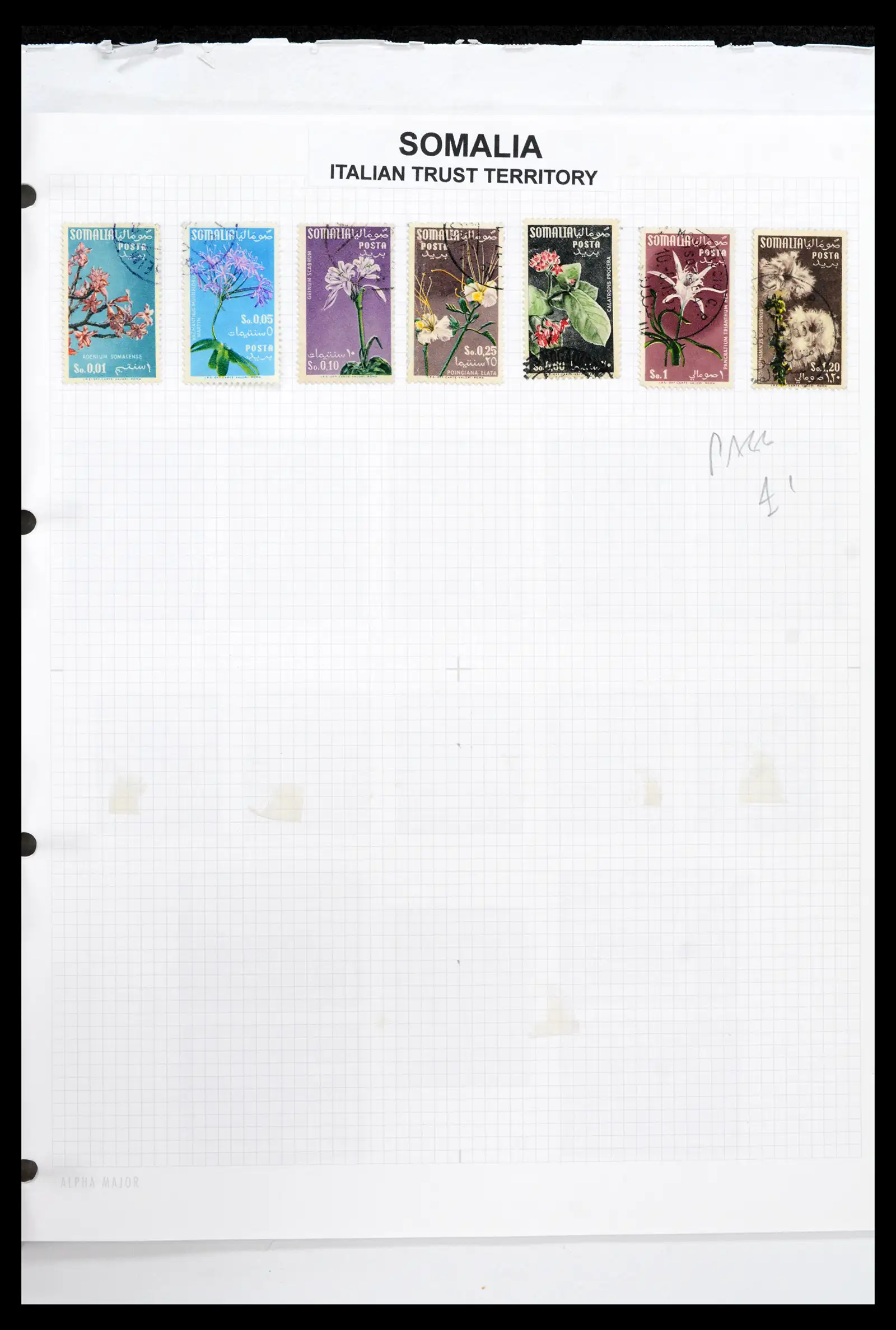 42163 0065