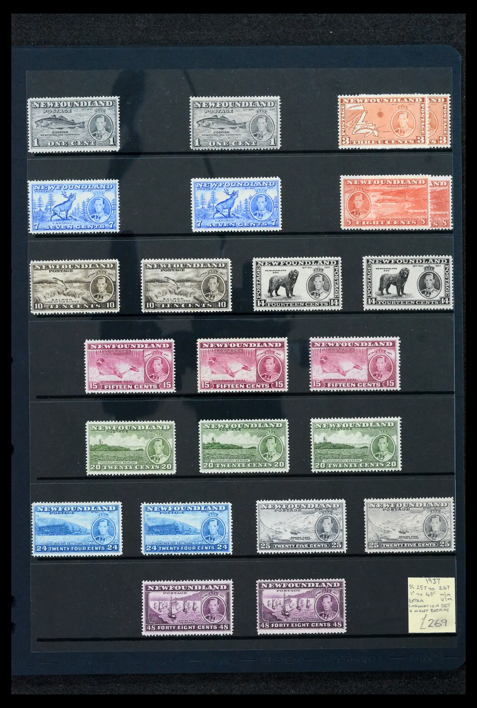 42166 0017