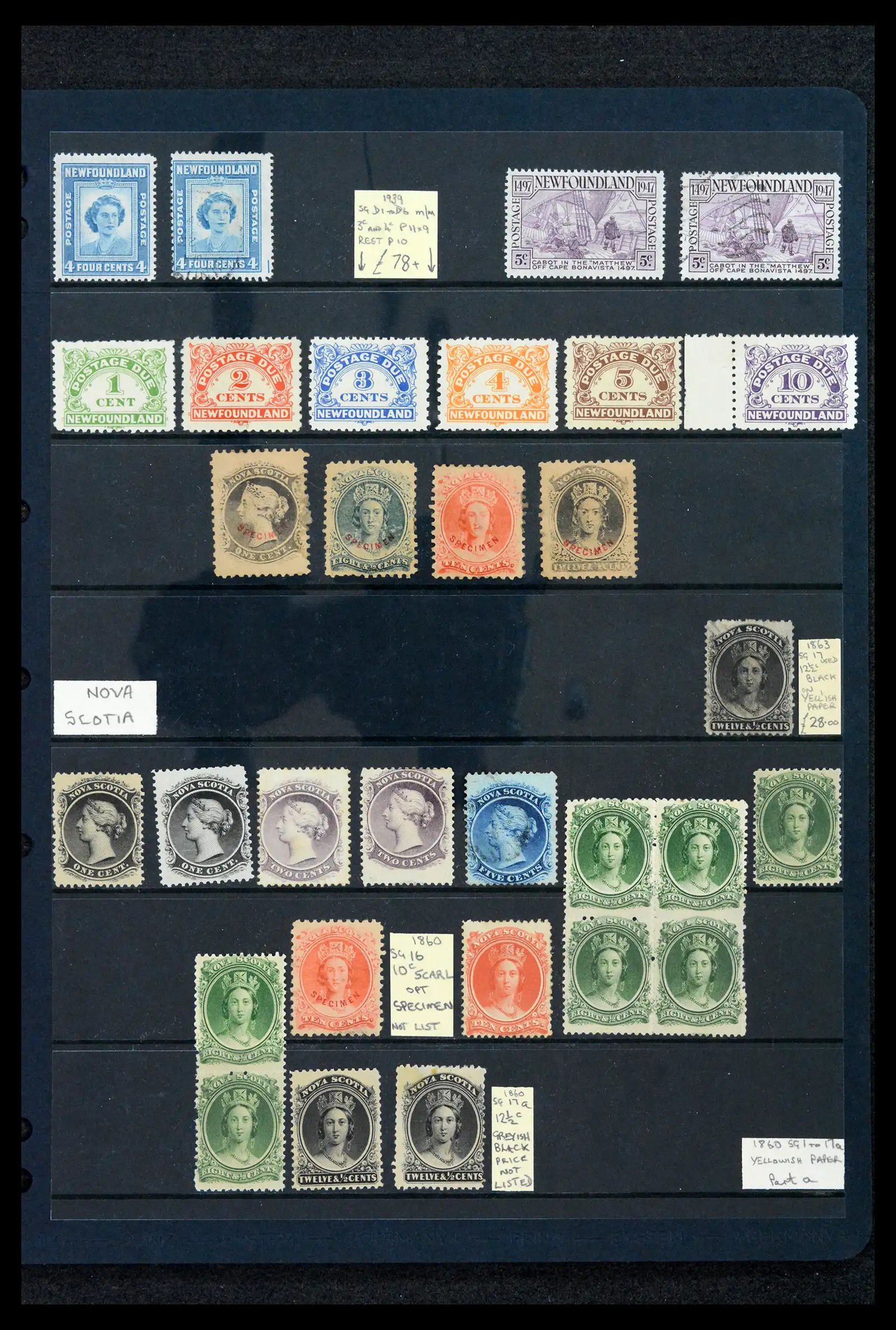 42166 0021