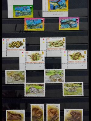 13088 Motief Wereld Natuur Fonds t/m 2013.