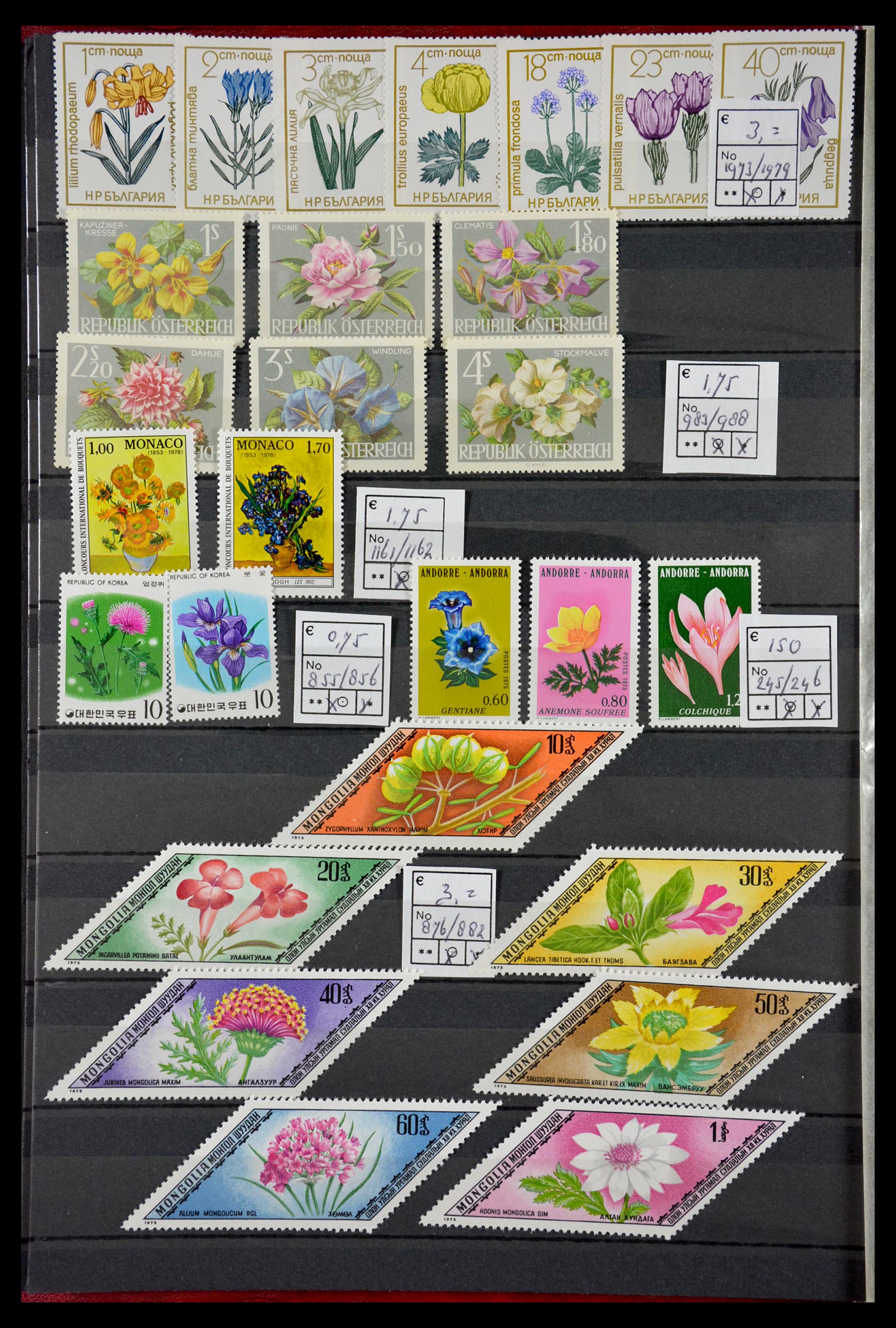 29462 Bloemen.
