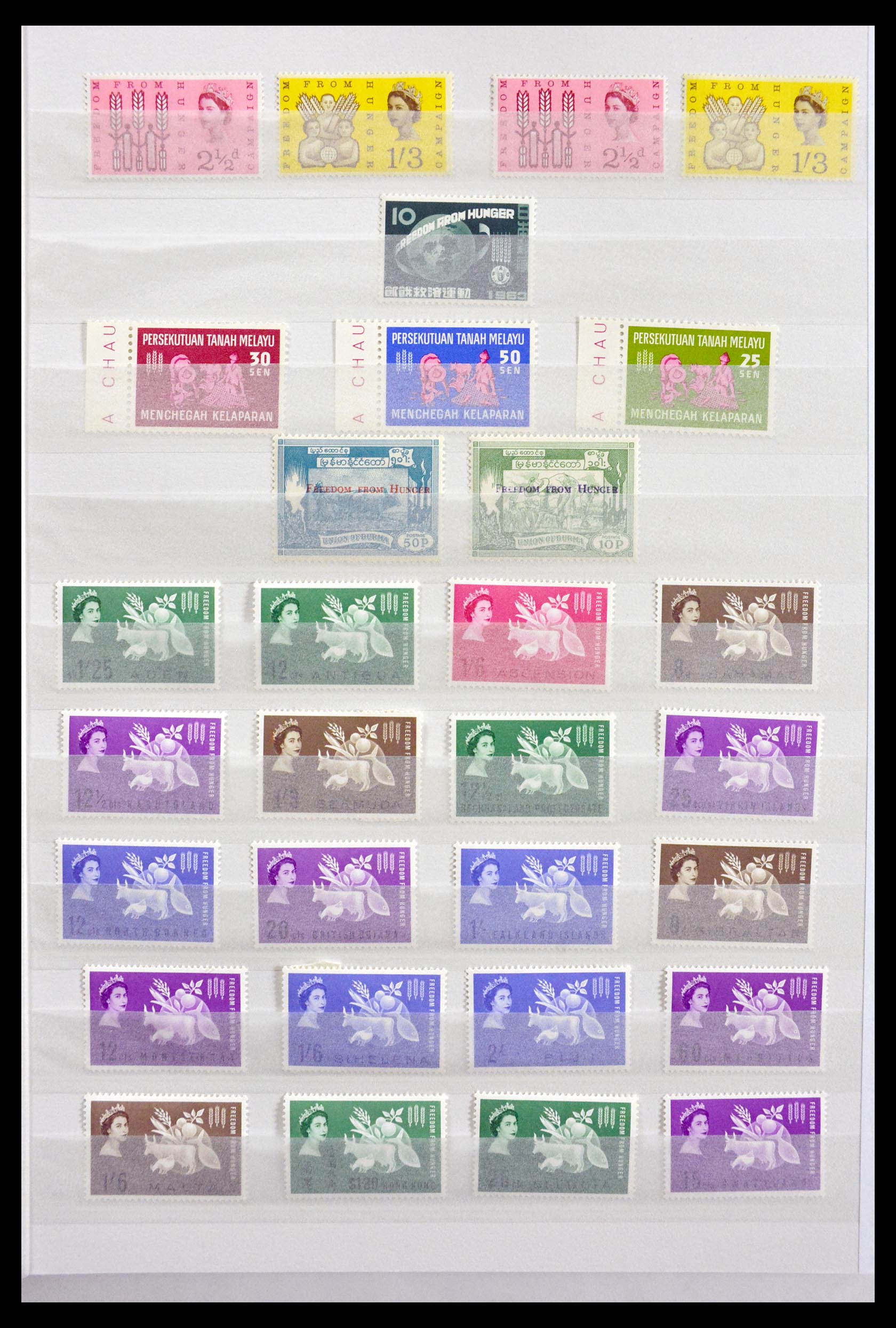 Postzegelverzameling 29621 Anti Honger 1963. 29621 Anti Honger 1963. - Afbeelding 1