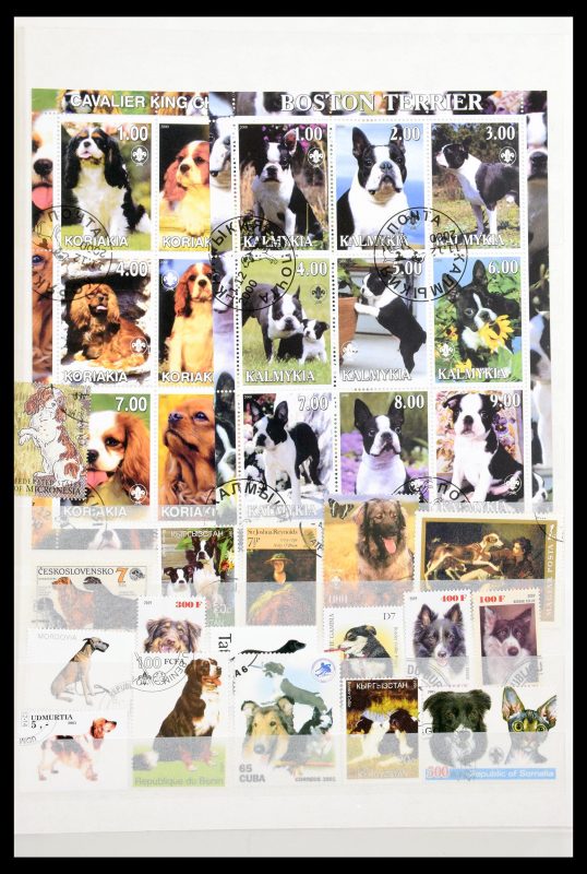 30501 Honden, honden en honden. - Afbeelding 1