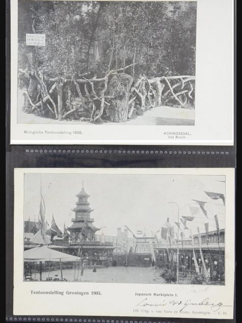31338 Nederland ansichtkaarten 1897-1914.