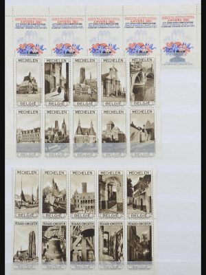 32006 België cinderella's.