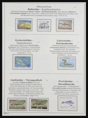32443 Vissen, vissen en vissen 1945-2005.