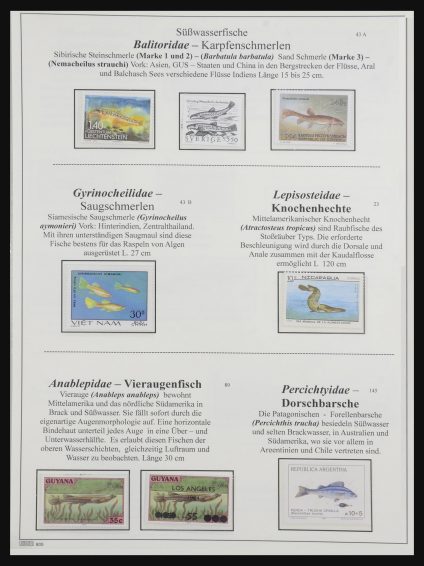 32443 Vissen, vissen en vissen 1945-2005. - Afbeelding 1