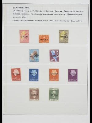 33498 Nederlands Nieuw Guinea Untea gespecialiseerd 1962-1963.