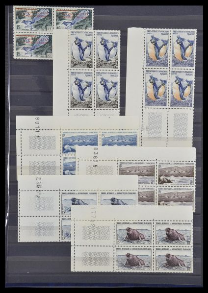 Postzegelverzameling 33678 T.A.A.F. toppers 1955-1996.