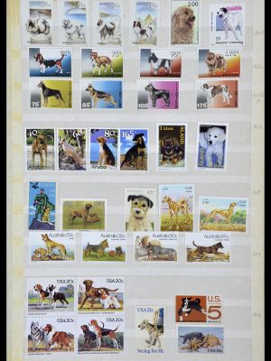34410 Motief Honden 1965-2011.