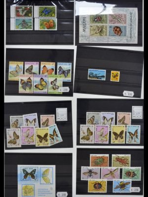 34501 Motief dieren 1960-2002.