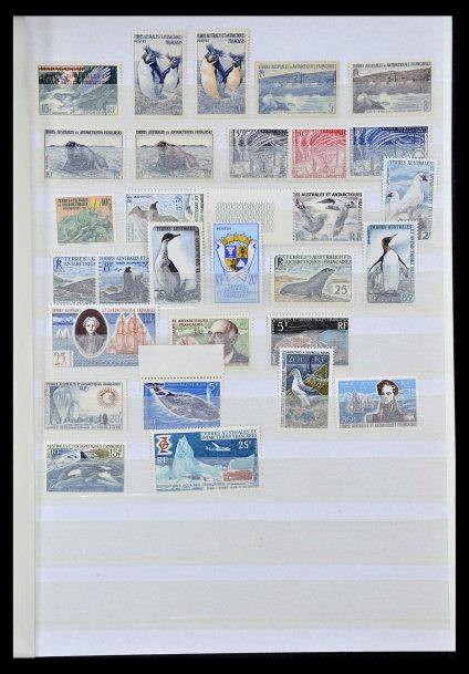 35098 T.A.A.F. 1948-1995. - Afbeelding 1