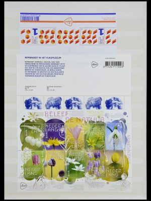 35126 Nederland 1999-2019!