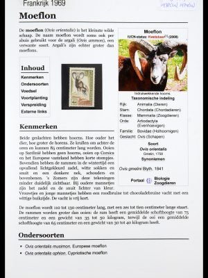 35195 Wereld Natuur Fonds 1969-2019!!