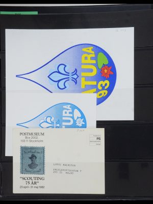 35591 Scouting 1920-2010.