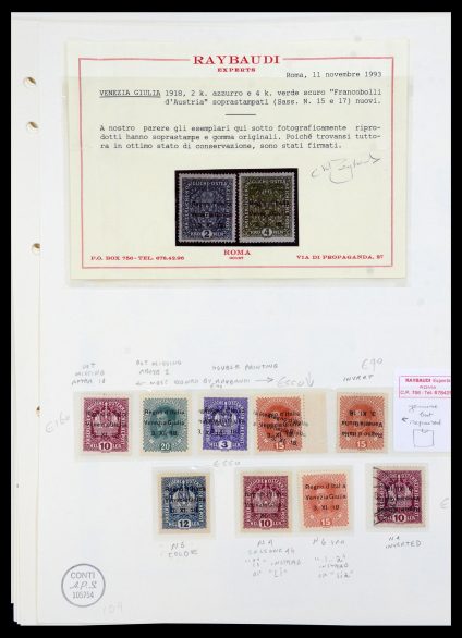 36172 Italiaanse gebieden 1918-1919. - Afbeelding 1