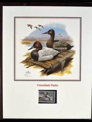 36793 USA duckstamps.