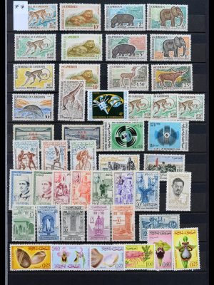 37914 Wereld uitzoekpartij 1900-2000.
