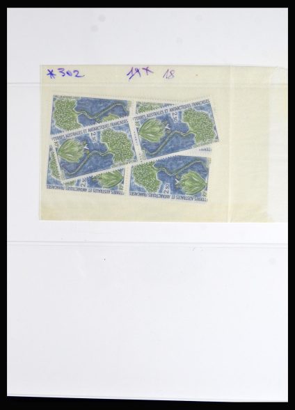 40239 TAAF postfris engros. - Afbeelding 1