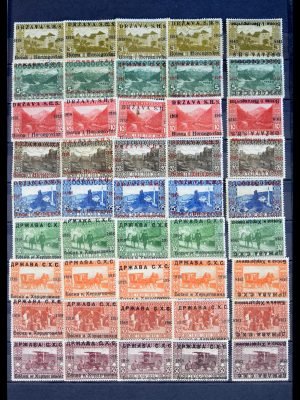 40687 Bosnië Herzegowina variëteiten 1918-1919.