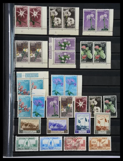 40884 Italie en kolonien 1904-1941. - Afbeelding 1