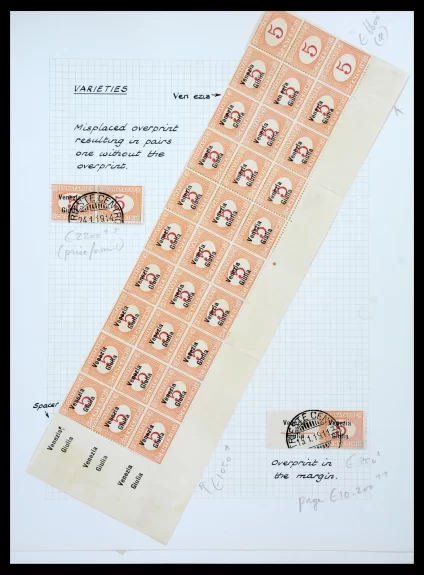 41156 Italië Venezia Giulia gespecialiseerd 1918-1919. - Afbeelding 1