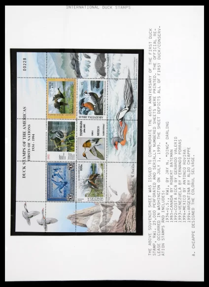 41219 Motief eenden 1989-2003. - Afbeelding 1