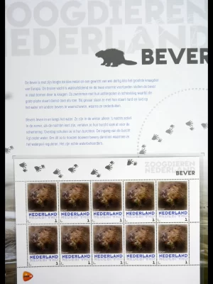 41511 Zoogdieren in Nederland