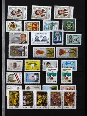 41924 Syrië 1985-2022.